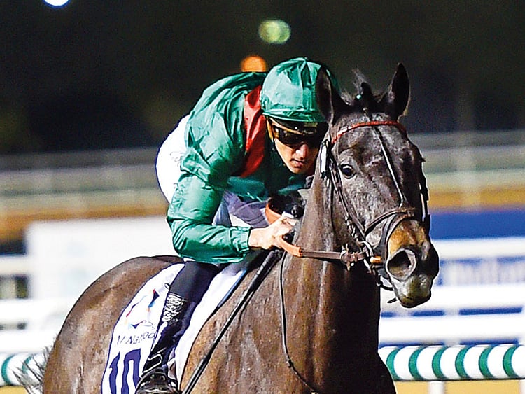 1.2196847-2480456014