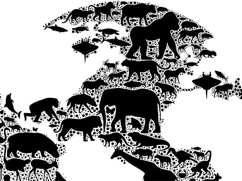 Ramachandra Babu/©Gulf News