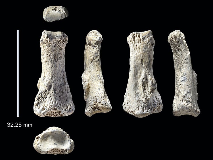 1.2203008-4206344934