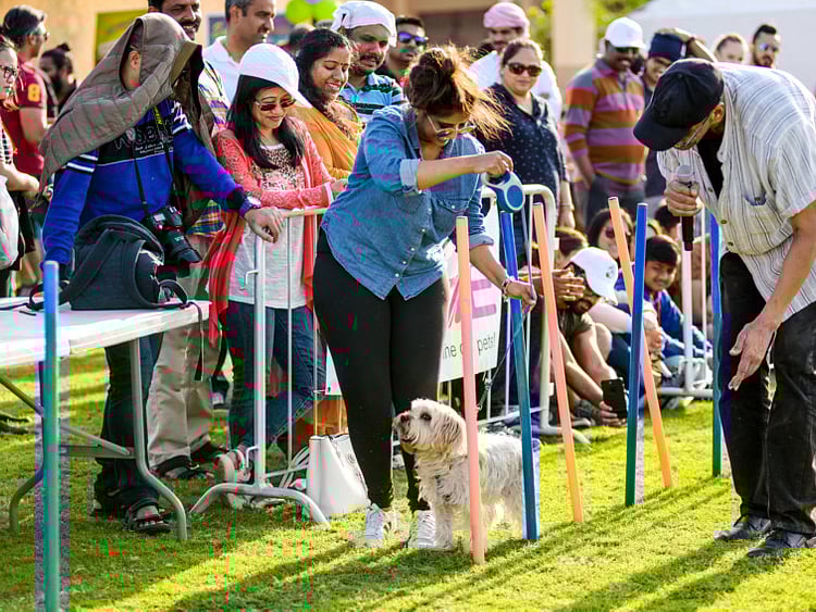 1.2203766-1228504555