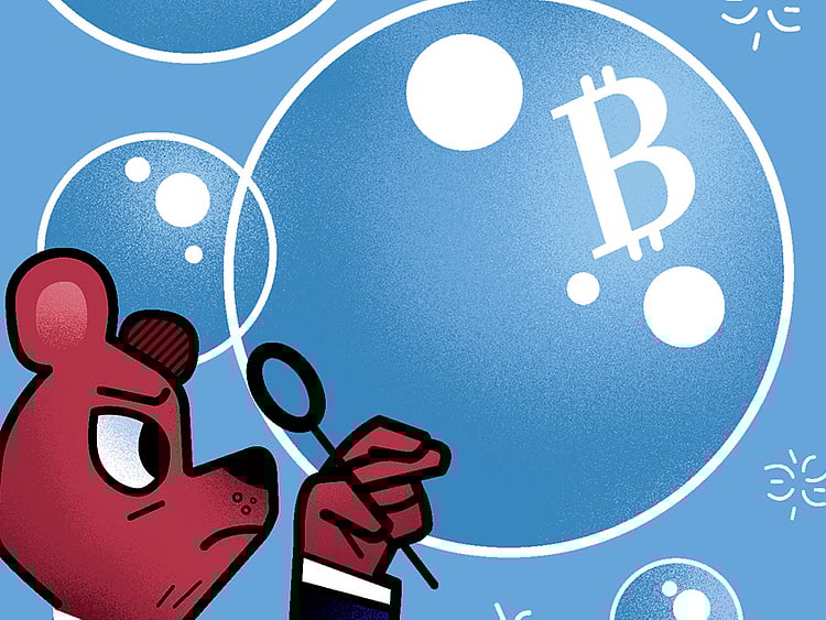 1.2205629-3773772452