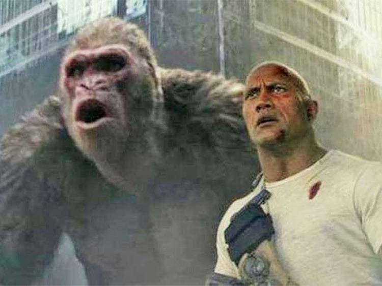 1.2206075-1808265901