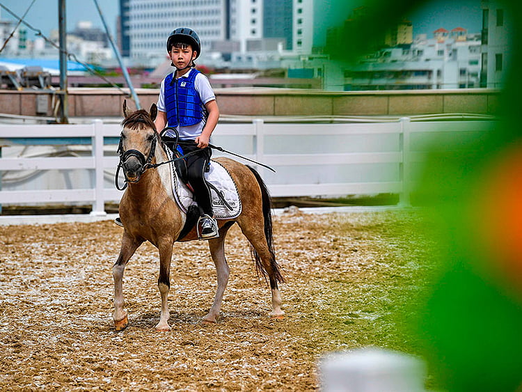 1.2206255-1464637835