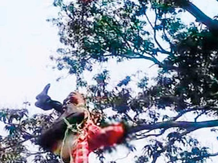 1.2208318-3078115094