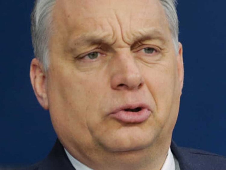 1.2198542-2685772917