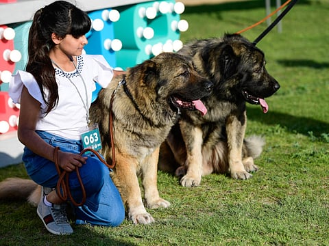 Virendra Saklani/Gulf News