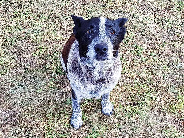 1.2209113-3023263924