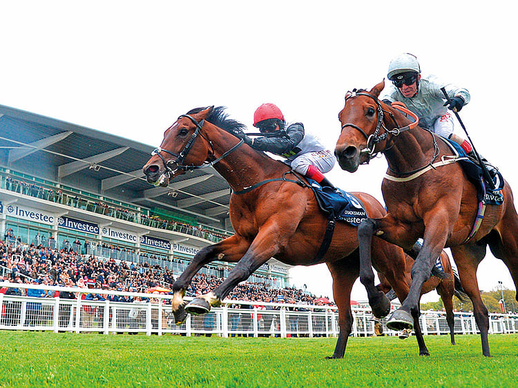 1.2209283-3069813079