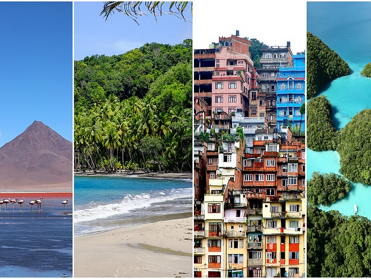 1.2209937-2619558610