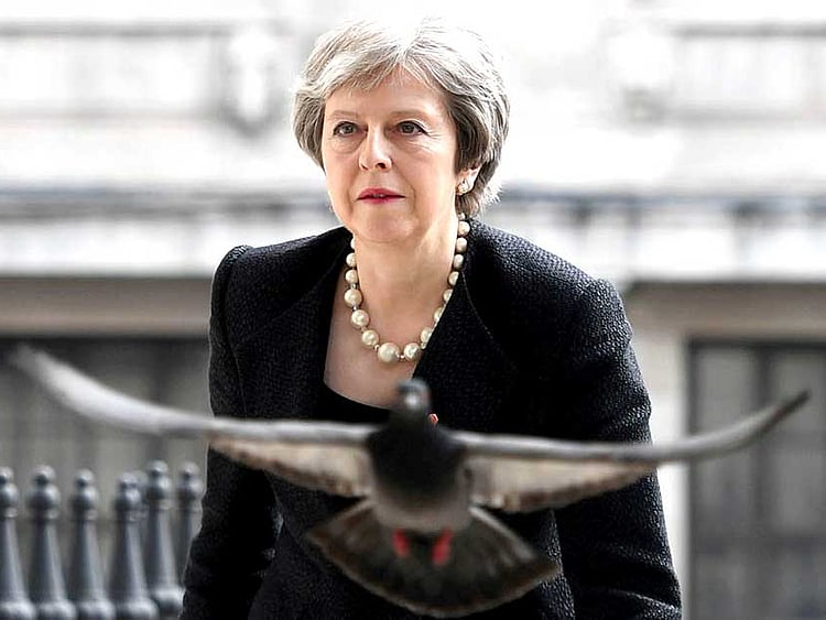 1.2211031-1978670013