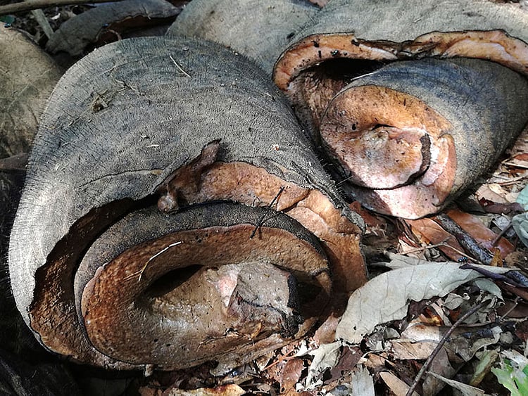 1.2211109-1056038221