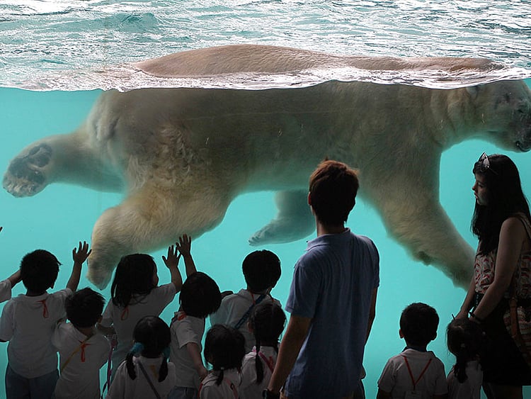 1.2211922-1159607717