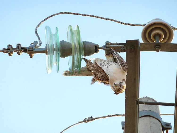 1.2212204-3436939664