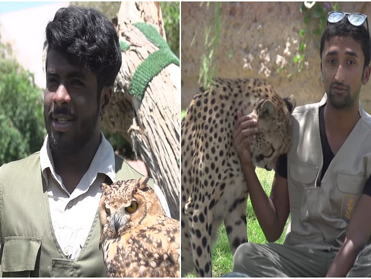 1.2212185-2619558610