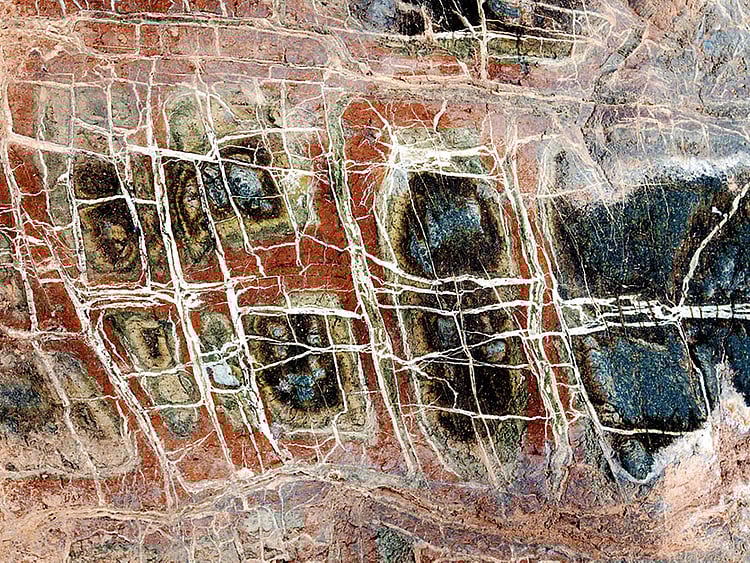 1.2213007-1552711116