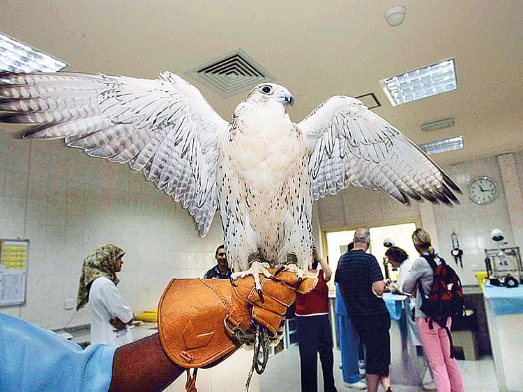 1.2213277-2265959188