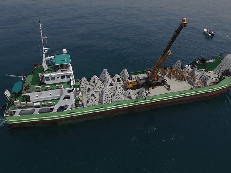 1.2213452-1198876157