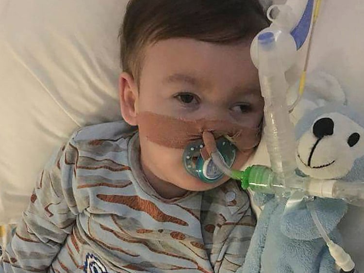 1.2214295-1799262525