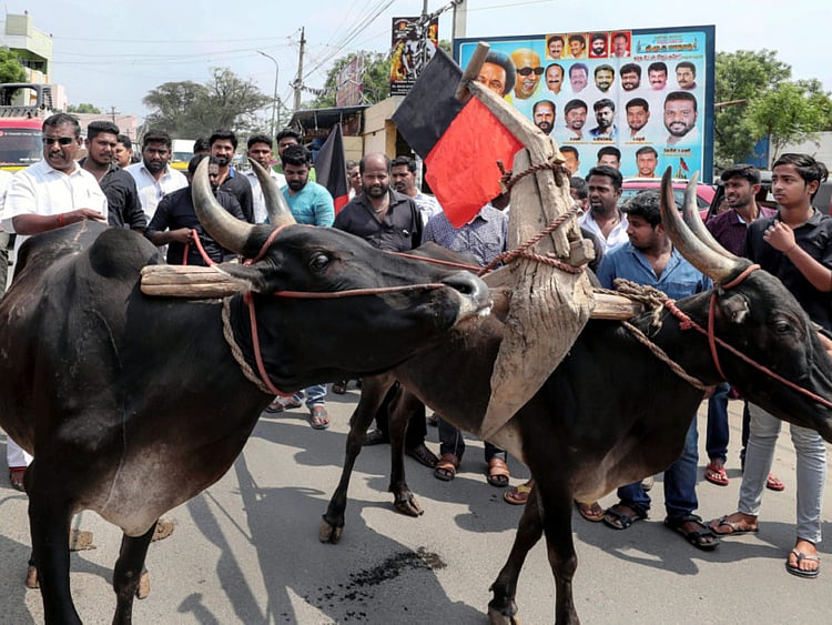 1.2200181-1744864669