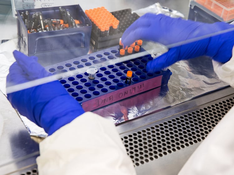 1.2199707-1025820988