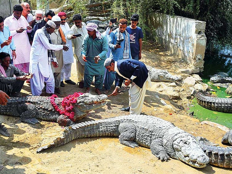 1.2200203-3295452024