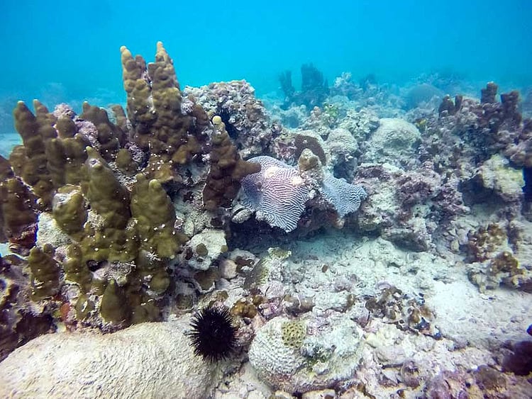 1.2200322-2422599604