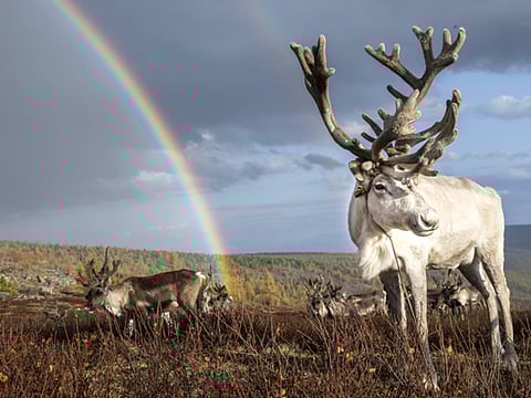 Memories of an intrepid conservation educator