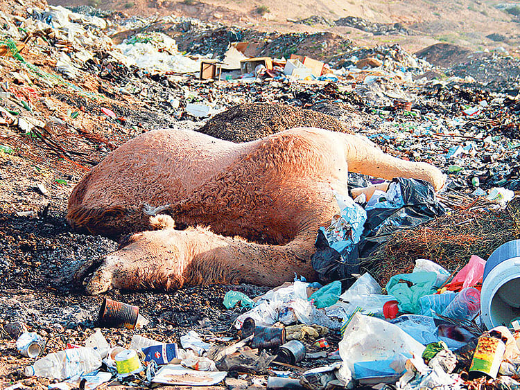 1.2201085-3857168376