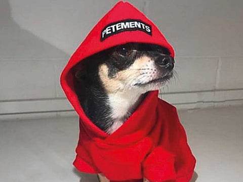 6 Instagram accounts followed by fashion insiders