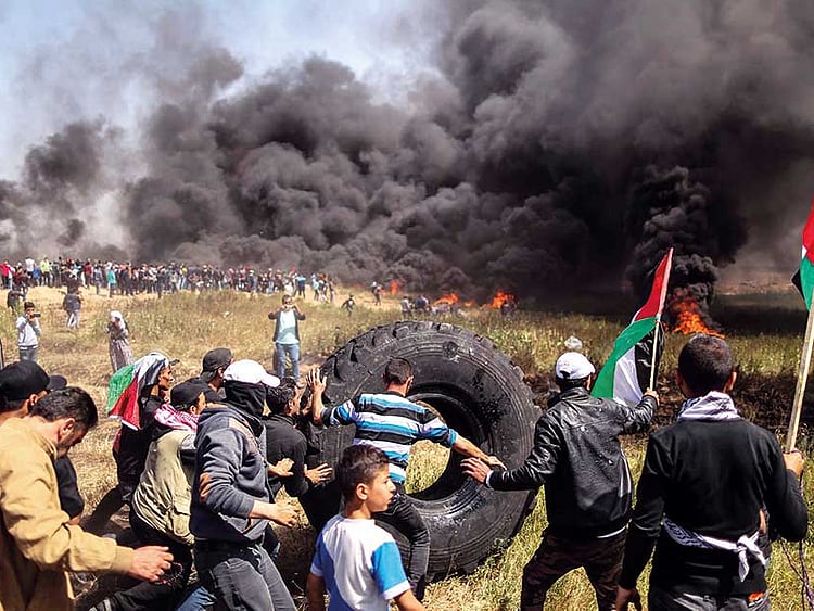 1.2202541-3198994456