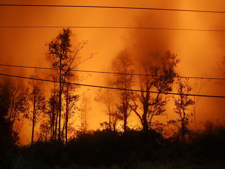 1.2223197-2003486307