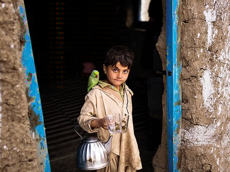 1.2223530-1500028598