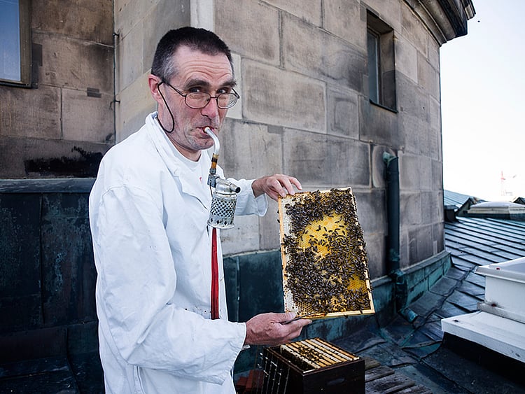 1.2224255-2710293601