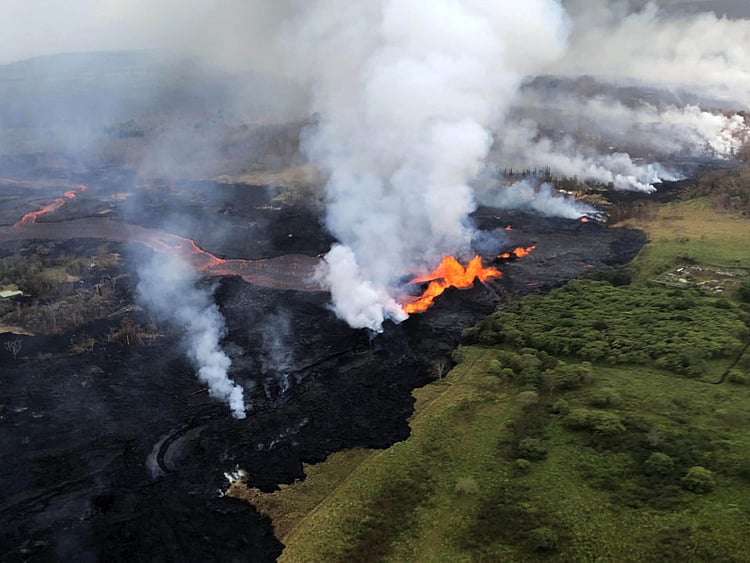 1.2225165-3339187186