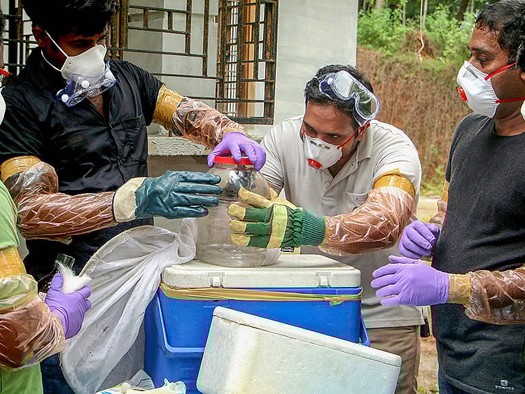 1.2229334-1390481446