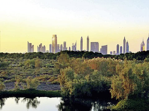 Gulf News Archives