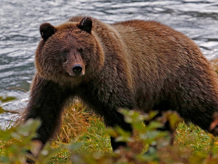 1.2225536-2568791433