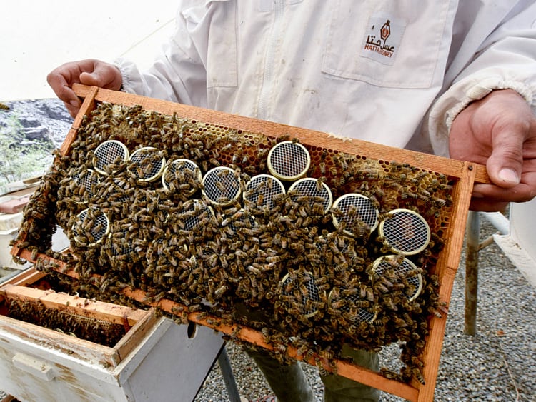 1.2227643-2102059508