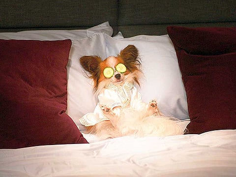 Global Road Entertainment