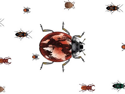 Ramachandra Babu/©Gulf News