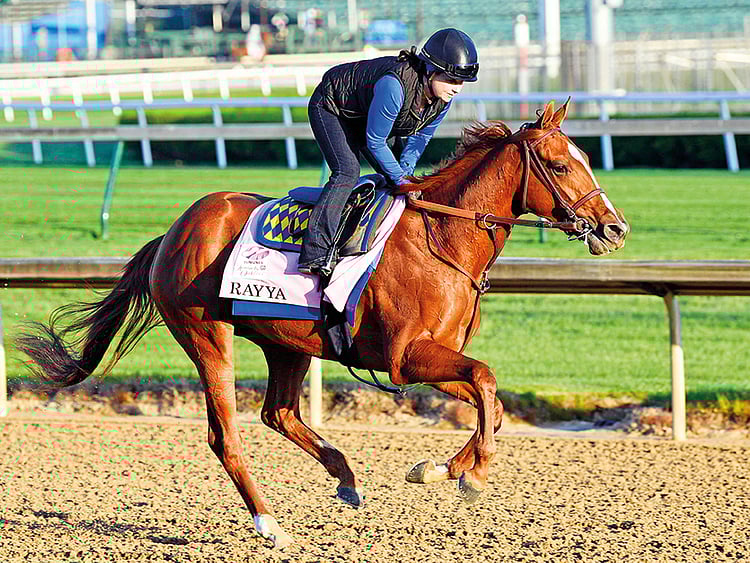 1.2215991-4152067466