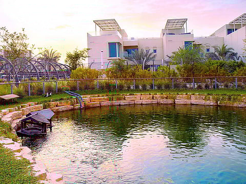 Be is solar panels or reusable packaging, businesses need to coopt sustainable ways. It can pay off for them big time.