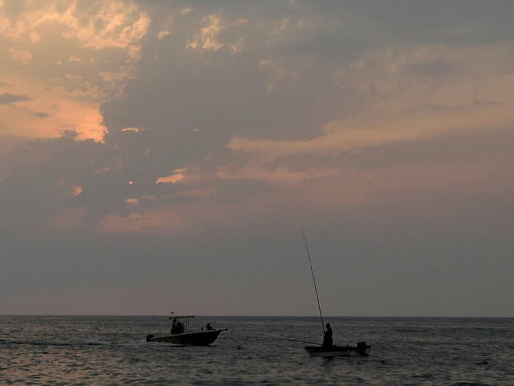 1.2228945-2837637756