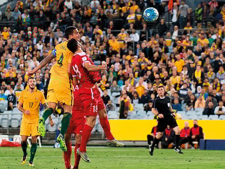 1.2216496-3609036259