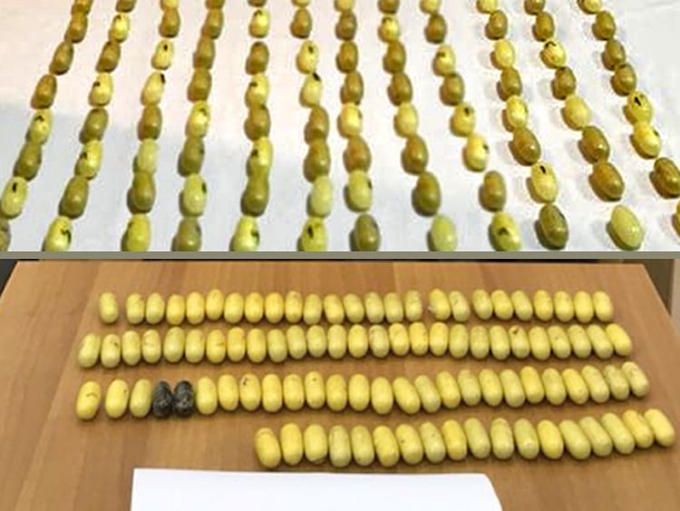 1.2217893-3285032179