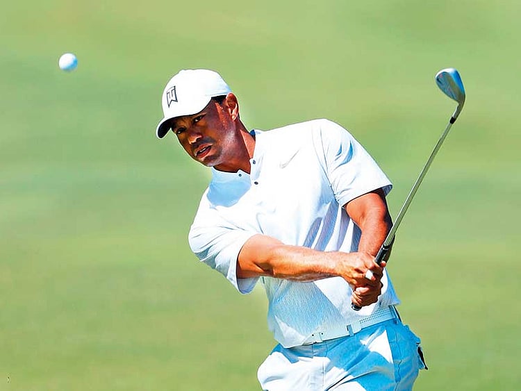 1.2219026-1445551712