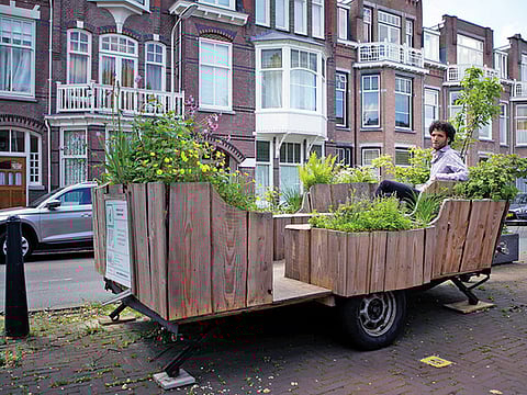 Forget parking spaces; grow a garden