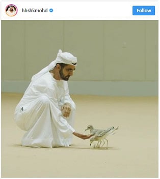 Top 7 social media trends