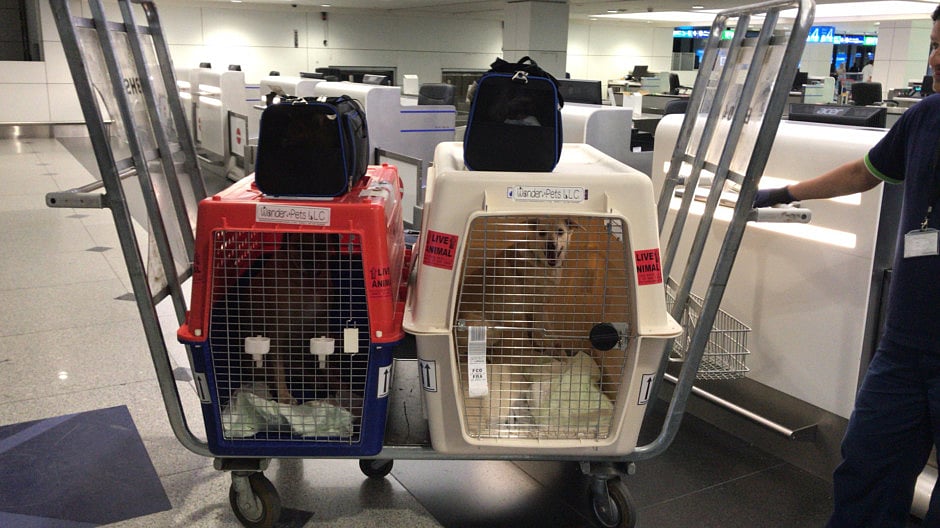 1.2235098-3291899896