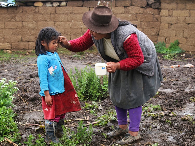 1.2235253-2637247425